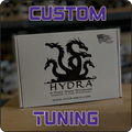 Custom Hydra Tuning - 7.3 Powerstroke (1994-2003)