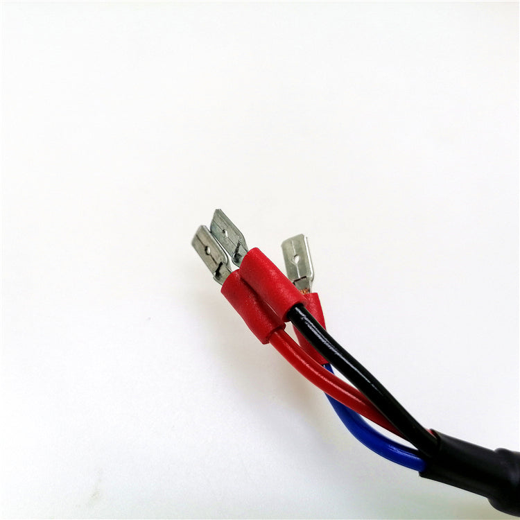 H15 C10-MODEL Anti Flicker Led Conversion Kit Error Free Wiring Harness Adapter
